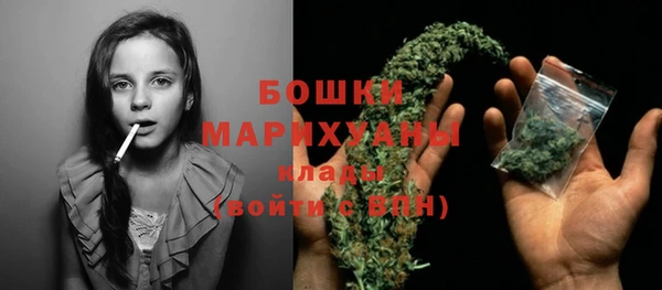 бошки Бородино