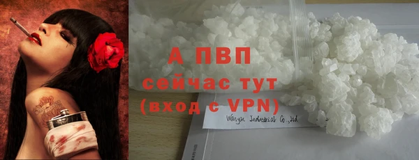 соль ск Богданович