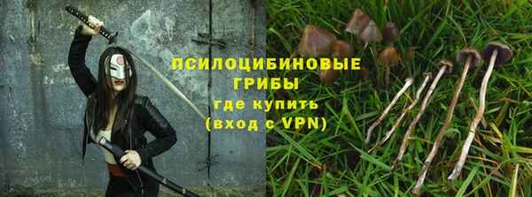 соль ск Богданович