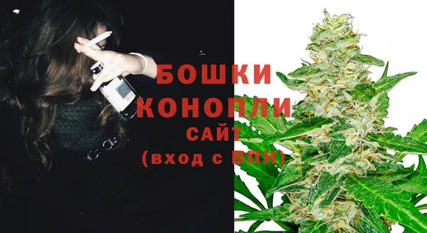 соль ск Богданович